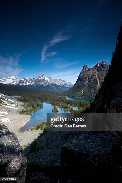 stunning lakes in the rocky mountains - lago o'hara foto e immagini stock