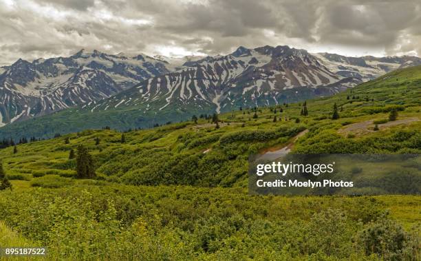 yukon canada - sweeping landscape stock pictures, royalty-free photos & images
