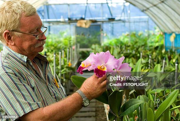 business man with orchid - associate producer stock pictures, royalty-free photos & images