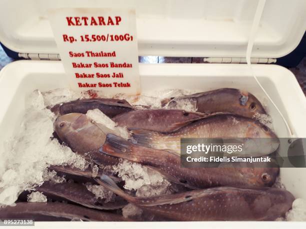 fresh parrotfish (ketarap fish) with price tag in ice box for sale at jakarta, indonesia - fischfutter stock-fotos und bilder