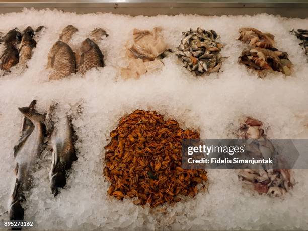 various fresh seafood in ice box for sale at jakarta, indonesia - fischfutter stock-fotos und bilder