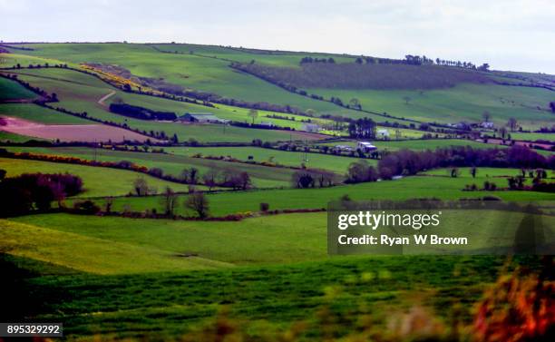 ireland, farmland, green valley - irish potato famine 個照片及圖片檔