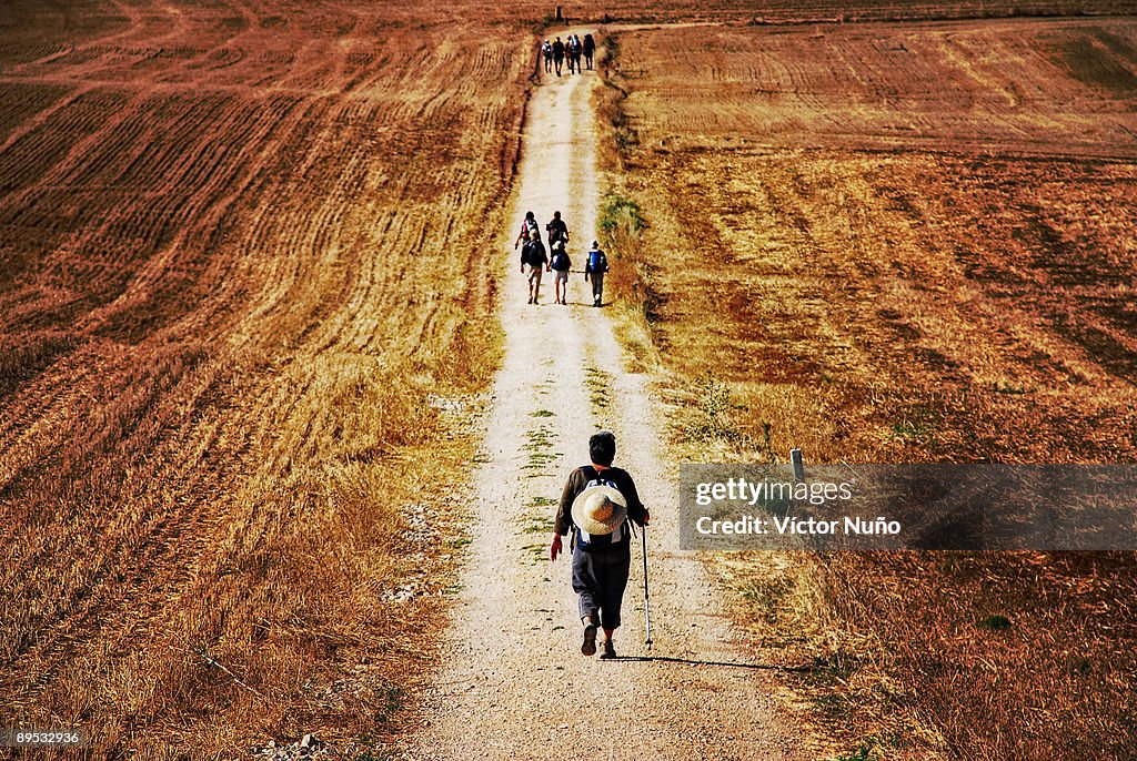 Santiago pilgrims walking on path