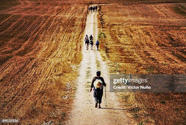 santiago pilgrims walking on path - peregrino fotografías e imágenes de stock