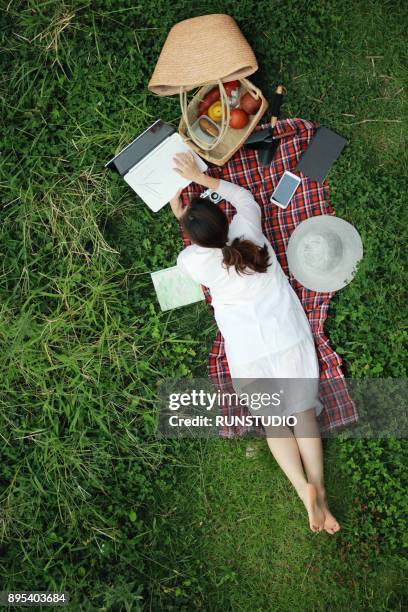 woman lying on picnic blanket and using laptop - picnic overhead stock pictures, royalty-free photos & images