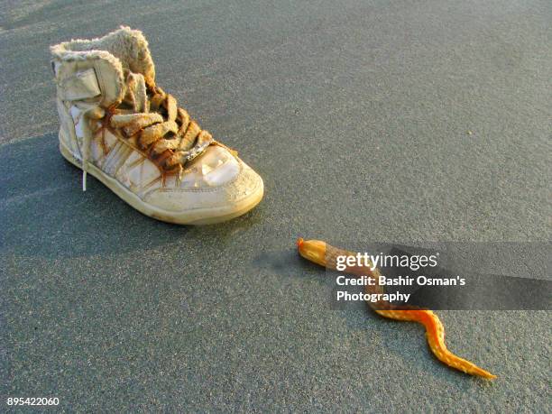 wreckage goods at the sea bed - hoverboard water stock pictures, royalty-free photos & images