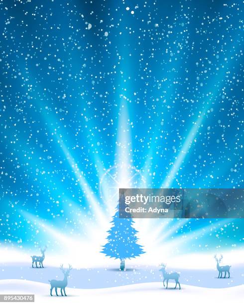 christmas greeting - sunlight through trees stock illustrations