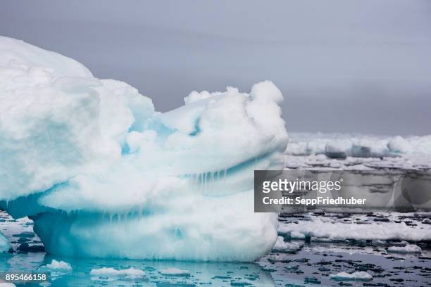blue iceberg floating in the hornsund spitzbergen - arktis stock pictures, royalty-free photos & images