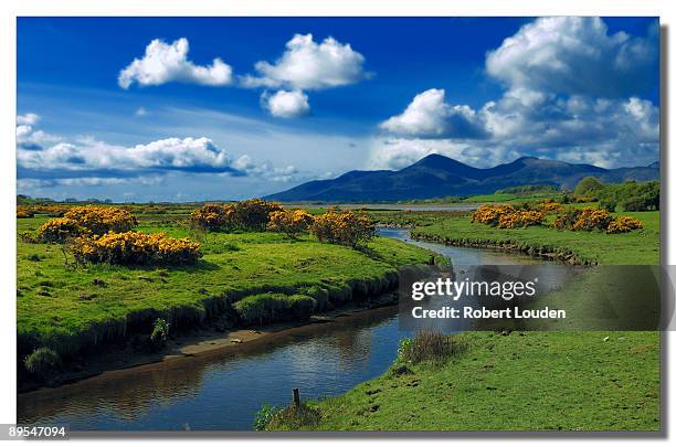 mourne view - county down stock pictures, royalty-free photos & images
