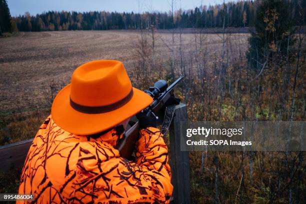 Veikko aimed and shot at far away moose. He saw the animal walking away but he's unsure if he hit it or not. Hunting, in Finland, is much more than a...