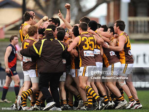 The Hawks celebrate their win on the siren over the Tigers after the round 16 VFL match between the Coburg Tigers and the Box Hill Hawks at ABD Group...