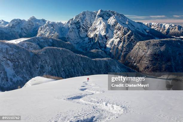 skitouring downhill - powder skiing at watzmann - berchtesgaden national park - bavaria snow stock pictures, royalty-free photos & images