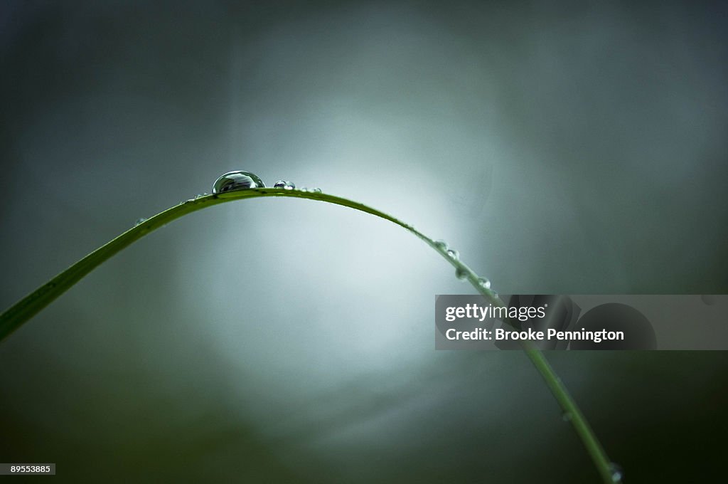 Water Droplet