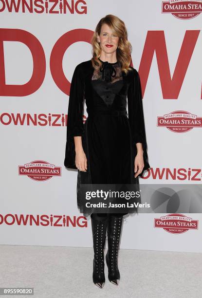 Actress Laura Dern attends the premiere of "Downsizing" at Regency Village Theatre on December 18, 2017 in Westwood, California.