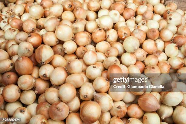 onions - turchia stock-fotos und bilder