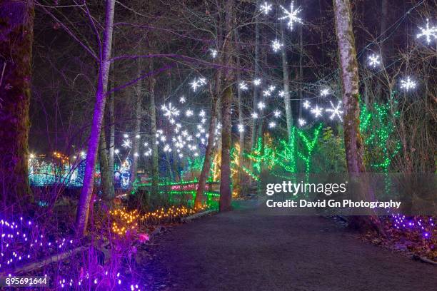 christmas lights along lafarge lake strolling path in coquitlam bc canada at night - コキットラム ストックフォトと画像