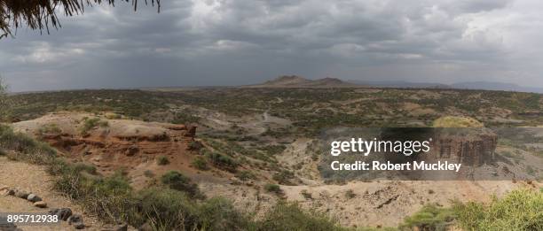 olduvai gorge - australopithecus stock pictures, royalty-free photos & images