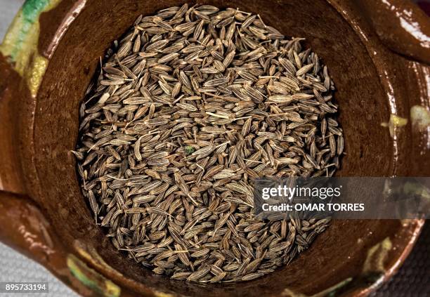 Cumin seeds are pictured at Carmen Ramirez's -nicknamed "Titita"- "El Bajio" restaurant in Mexico City on April 24, 2017. / AFP PHOTO / OMAR TORRES