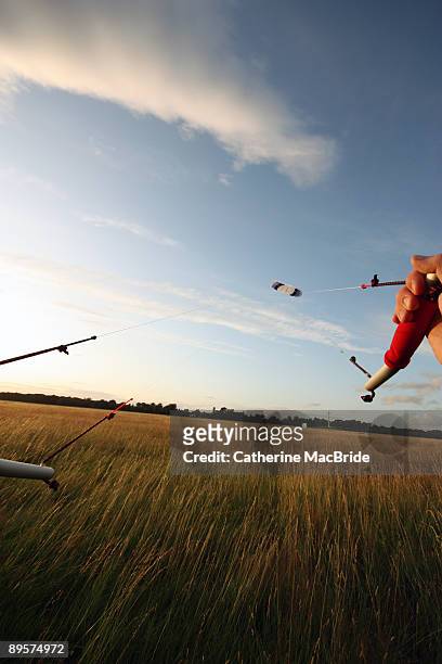 kite flying on a windy day - catherine macbride stock-fotos und bilder