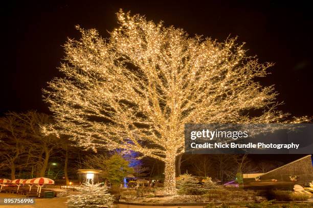 christmas in denmark - copenhagen christmas market stock pictures, royalty-free photos & images