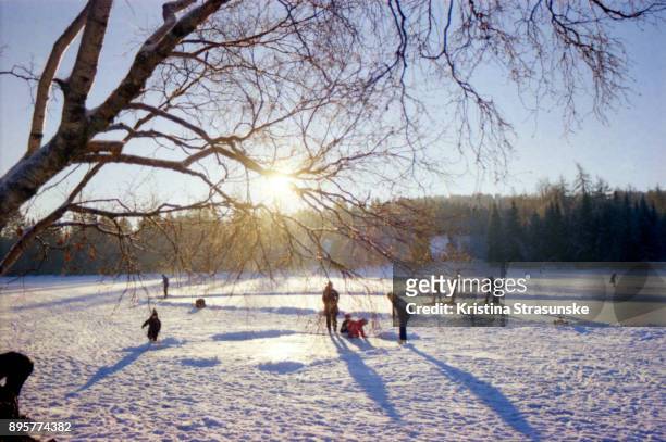winter solstice - winterzonnewende stockfoto's en -beelden