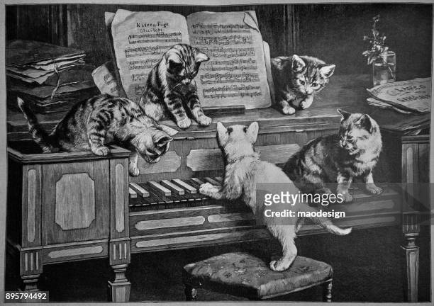 ilustrações, clipart, desenhos animados e ícones de cinco gatos são sentado ao piano e tocando nele - 1896