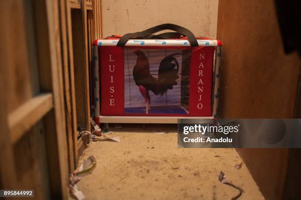 Rooster cage is seen at the "gallera" of San Miguel in Bogota, Colombia on December 19, 2017. Rooster breeders bringtheir roosters in cages to be...