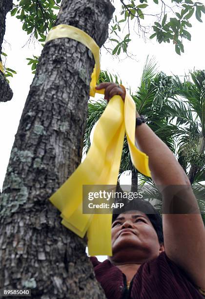 Supporter ties a yellow ribbon near the tomb of the late former Philippines president Corazon Aquino in a memorial park in Manila on August 4, 2009...