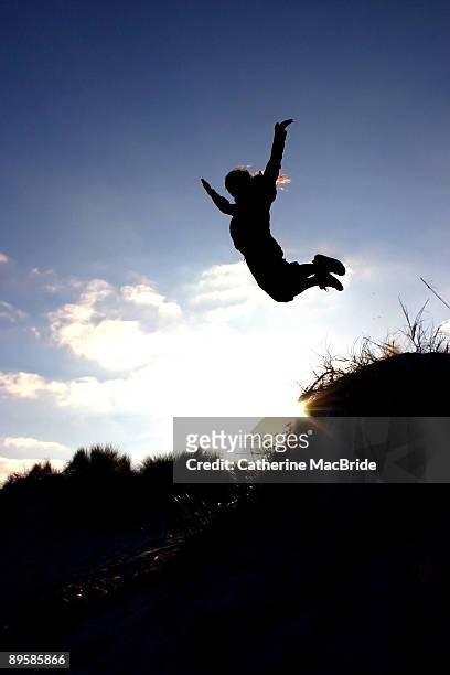 flying without wings - catherine macbride stock pictures, royalty-free photos & images