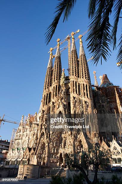 sagrada familia - sagrada família imagens e fotografias de stock