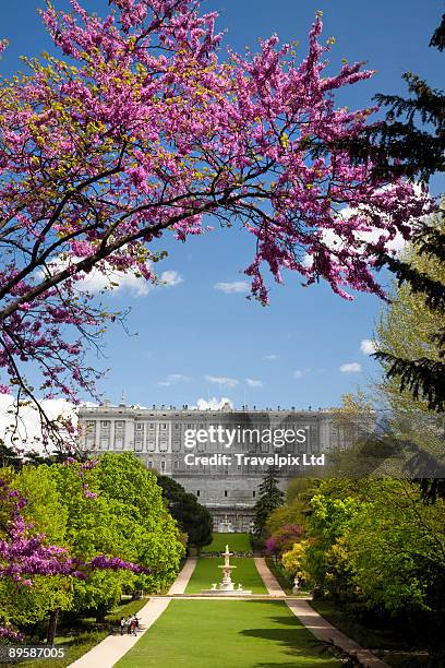 royal palace - koninklijk paleis van madrid stockfoto's en -beelden