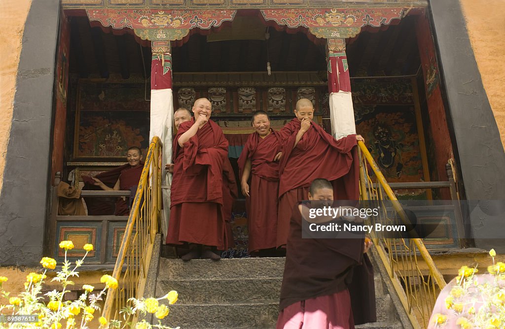 Tibetan nuns laughing  in Lhasa Tibet China
