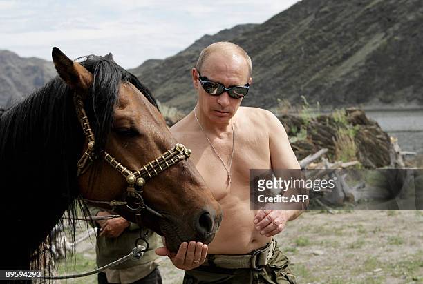 Russian Prime Minister Vladimir Putin is pictured with a horse during his vacation outside the town of Kyzyl in Southern Siberia on August 3, 2009....