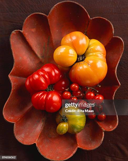 tomatoes in scalloped dish - scalloped pattern foto e immagini stock