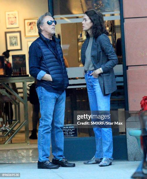 Don Johnson and Kelley Phleger are seen on December 19, 2017 in Los Angeles, CA.