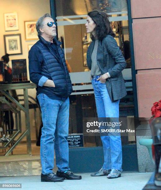 Don Johnson and Kelley Phleger are seen on December 19, 2017 in Los Angeles, CA.