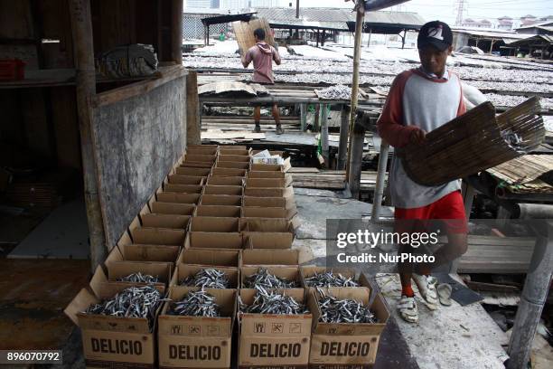 Activities at salted fish production center in Muara Angke fishing port, North Jakarta on Wednesday, December 20, 2017. The production of salted fish...