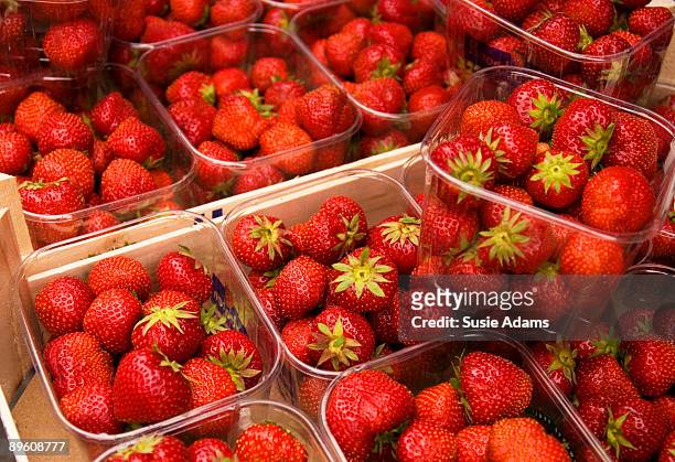 strawberries - punnet stock pictures, royalty-free photos & images