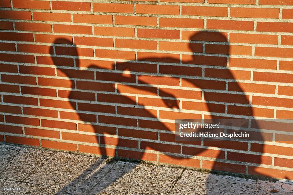 Shadow fight