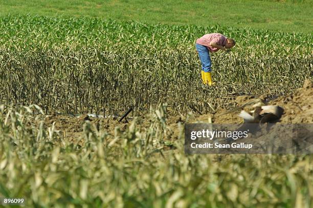 German water inspector tests a soil sample near the tail wreckage of a Bashkirian Airlines Tupolev-154 plane July 3, 2002 near the town of...