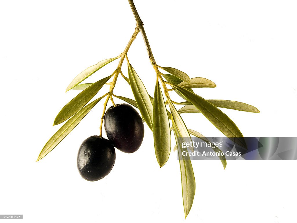 Olives
