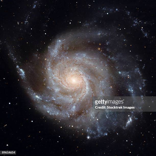 messier 101, the pinwheel galaxy. - pinwheel galaxy stock pictures, royalty-free photos & images
