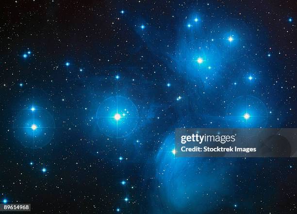 open star cluster known as the pleiades, or seven sisters.  - pleiades stockfoto's en -beelden