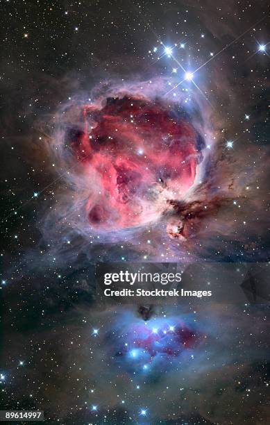 the orion nebula (also known as messier 42, m42, or ngc 1976) is a diffuse nebula situated south of orion's belt. it is one of the brightest nebulae, visible to the naked eye in the night sky, and is about 24 light years across. - orion belt stock pictures, royalty-free photos & images