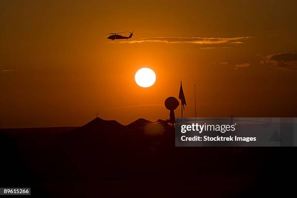 camp speicher, iraq - uh-60 blackhawk flies over camp speicher airfield at sunset.  - camp speicher stock pictures, royalty-free photos & images