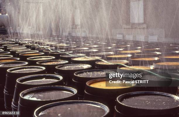 Arrosage des tonneaux dans un chai de la maison de champagne Krug a Reims, dans la Marne, France.