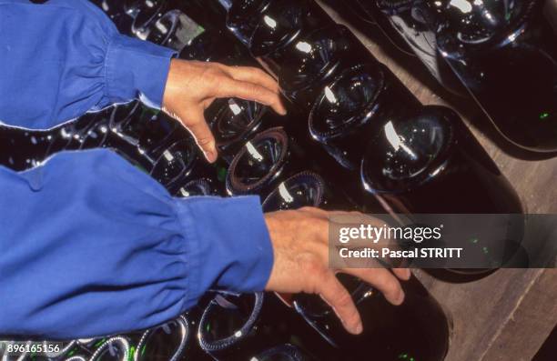 Remuage manuel des bouteilles dans une cave de la maison de champagne 'Taittinger' a Reims, dans la Marne, France.