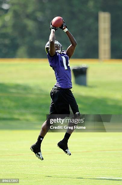 Justin Harper of the Baltimore Ravens makes a catch during training camp at McDaniel College on July 28, 2009 in Westminster, Maryland.