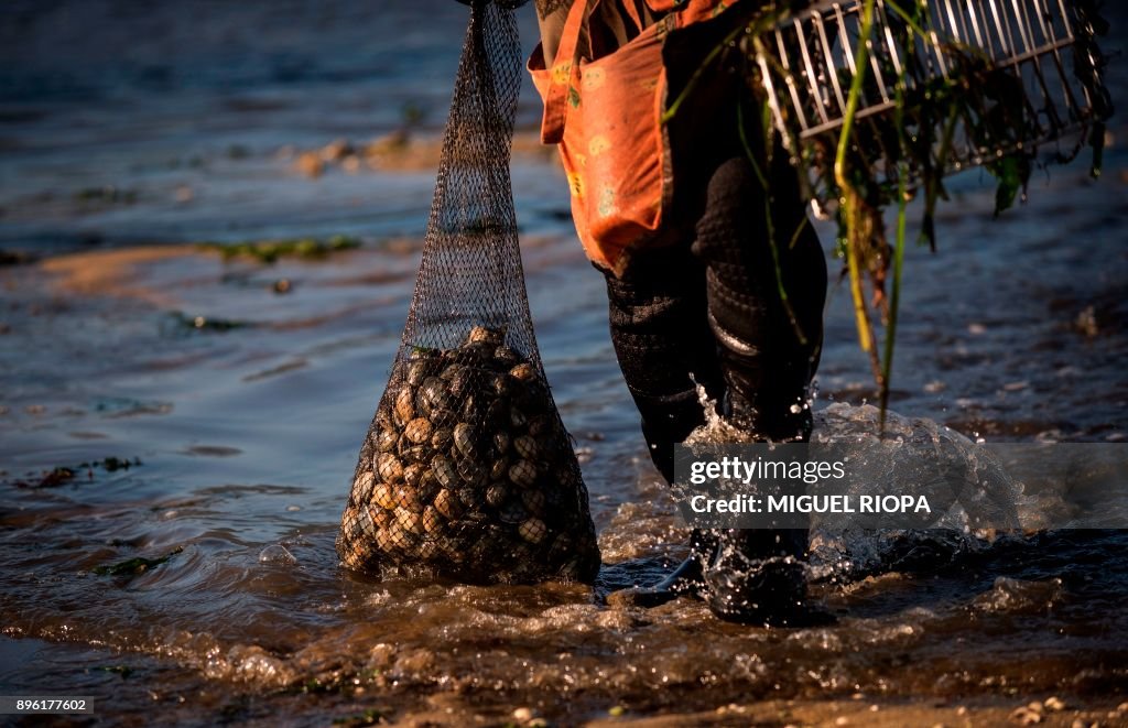 SPAIN-ECONOMY-LABOUR-SEAFOOD-CHRISTMAS