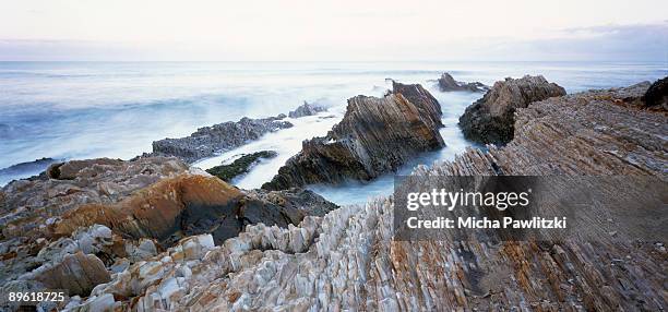 rocky ocean shore - parque estatal de montaña de oro fotografías e imágenes de stock